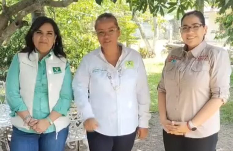 3 Guerreras Listas para la Victoria: Lupita Vargas, Berenice Acundo y Beatriz Manrique